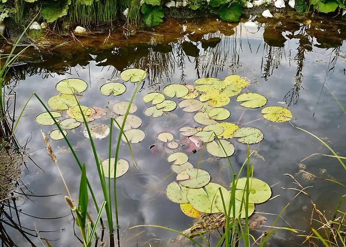 Altes Zollhaus No 19 Apartamento