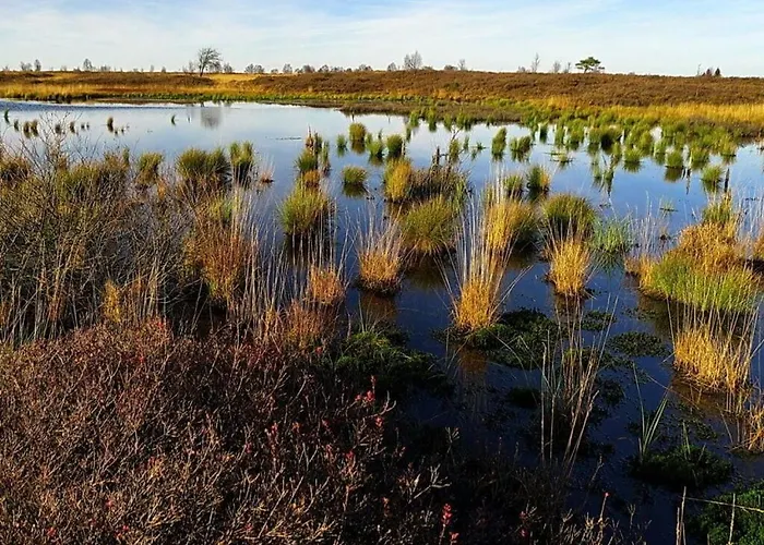 Altes Zollhaus No 19 * Hofen